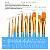 10 Pcs Multi-Function Acrylic & Watercolor Artist Paint Brush Set