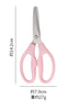 Safe Snip Stainless Steel Child-Friendly Household Scissors