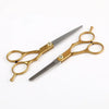 Professional Stainless Steel Hair Thinning and Cutting Scissors