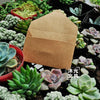 20PCS Mini Blank Kraft Window Envelopes