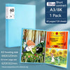 A3 File Folder Display Book