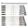 Pure Carbon Professional Artist Brush Set