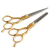 Professional Stainless Steel Hair Thinning and Cutting Scissors